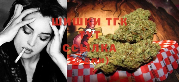 тгк Алексин