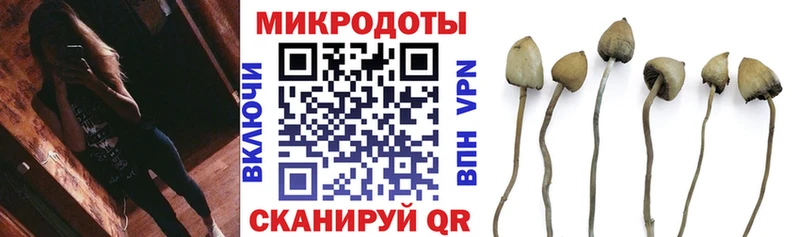 Псилоцибиновые грибы мухоморы  OMG ссылки  Тосно 