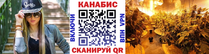 цены наркотик  Тосно  Конопля план 